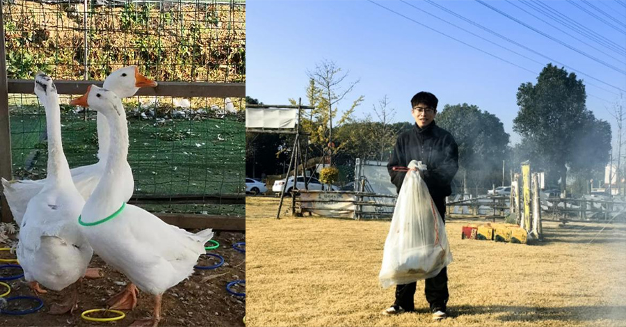 圖片21-22.jpg