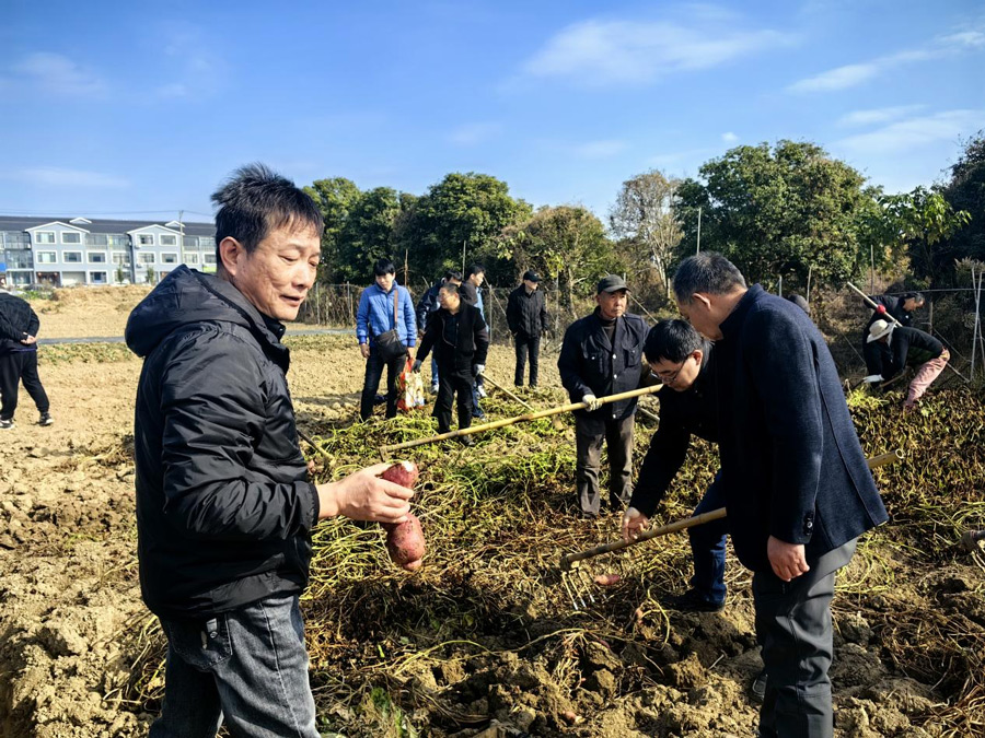 圖片16.jpg